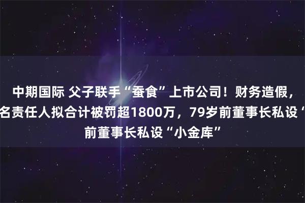 中期国际 父子联手“蚕食”上市公司!财务造假,公司及7名责任人拟合计被罚超1800万,79岁前董事长私设“小金库”