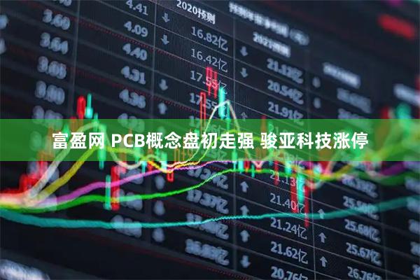 富盈网 PCB概念盘初走强 骏亚科技涨停
