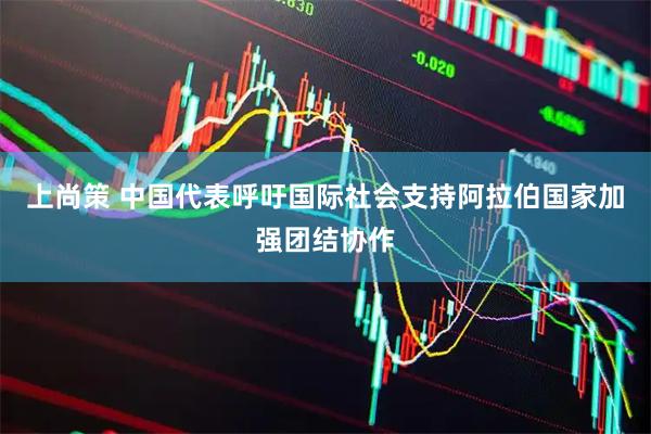 上尚策 中国代表呼吁国际社会支持阿拉伯国家加强团结协作