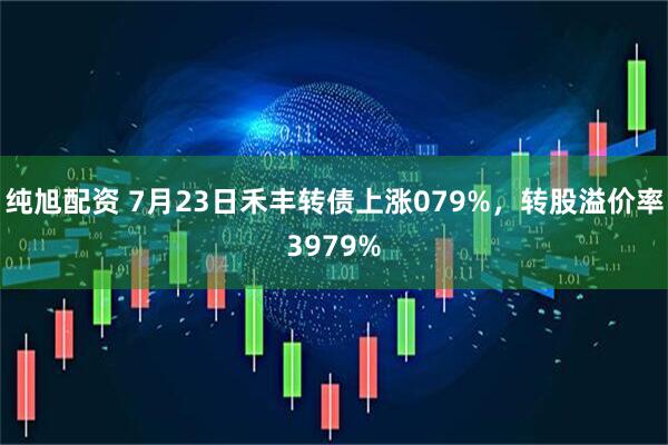 纯旭配资 7月23日禾丰转债上涨079%，转股溢价率3979%